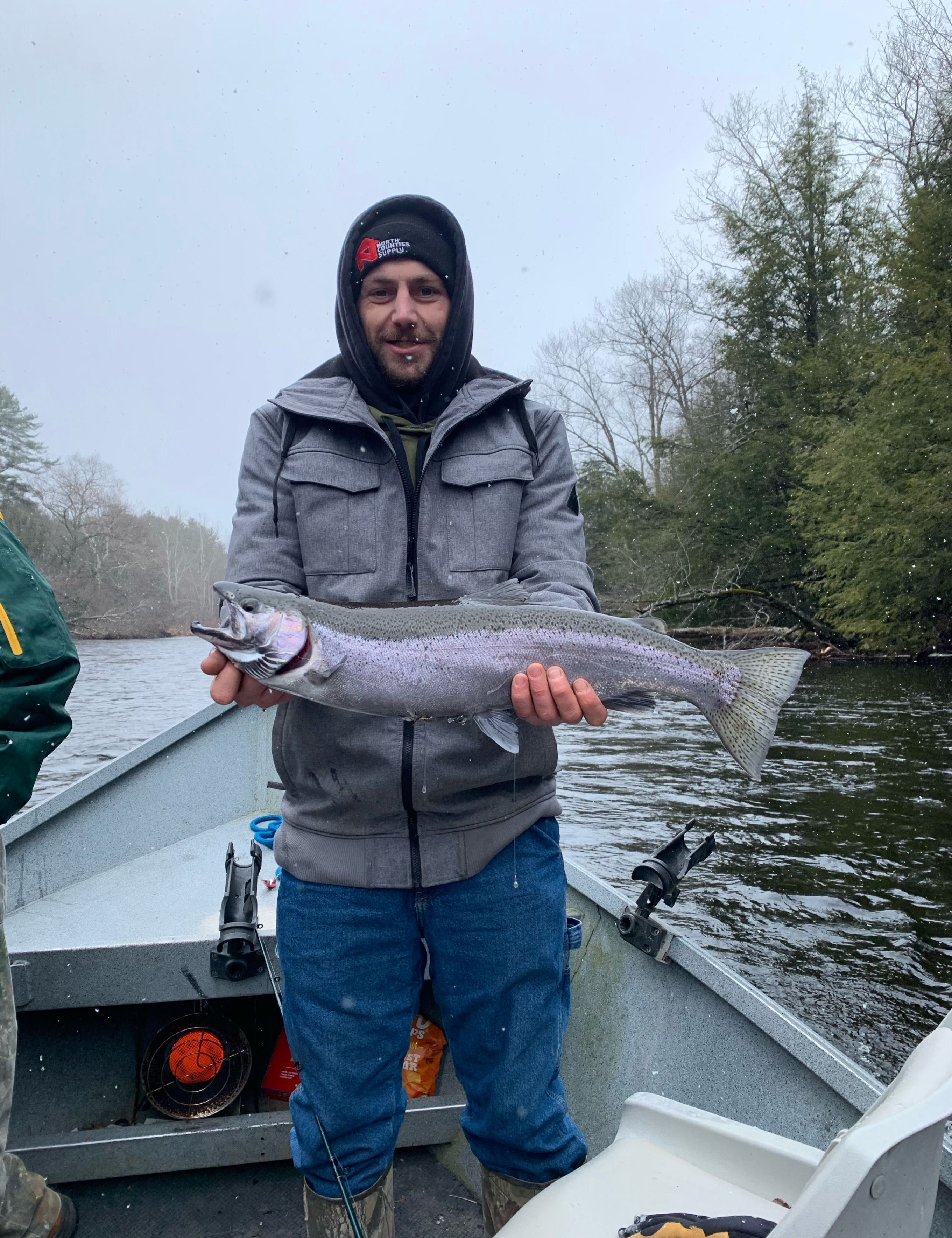 Salmon river steelhead